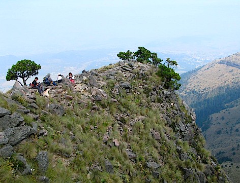 Hilltops of Ajusco