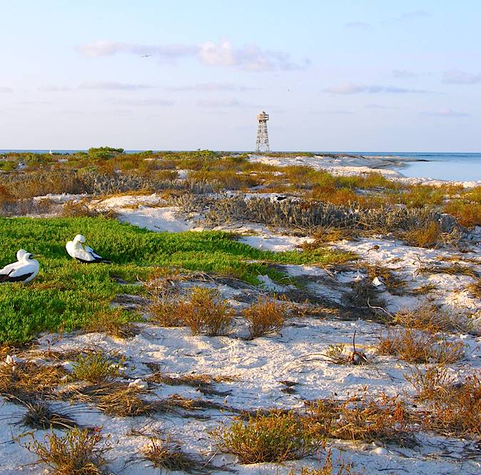 Arrecife Alacranes