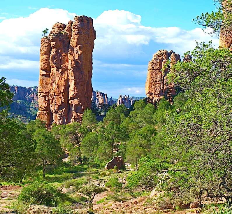 Sierra de Órganos