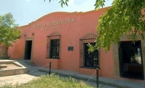 Qué hacer en Museo Paleontológico de Rincón Colorado, Saltillo