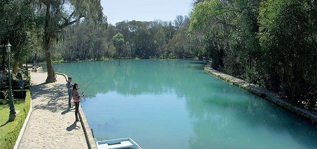 Bosque de las Truchas, San Miguel Regla ( Huasca de Ocampo )