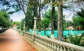 Qué hacer en Alameda Zaragoza, Saltillo