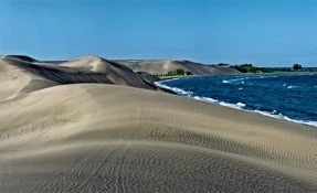 What to do in Las Dunas del Sabanal, Chachalacas