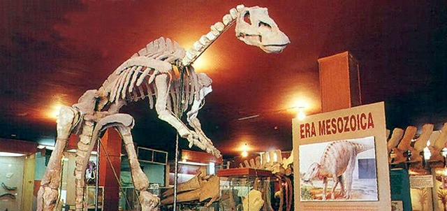 Museo de Paleontología, Ciudad Delicias