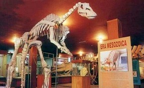 Qué hacer en Museo de Paleontología, Ciudad Delicias
