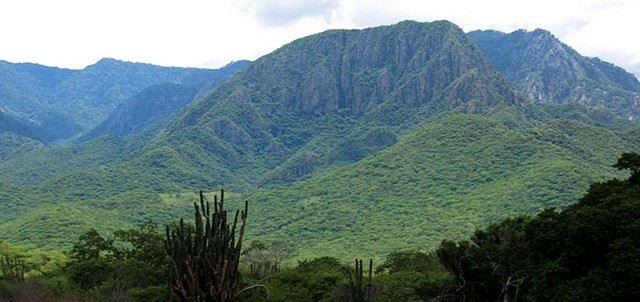 Reserva de la Biósfera Sierra de Manantlán, Manzanillo
