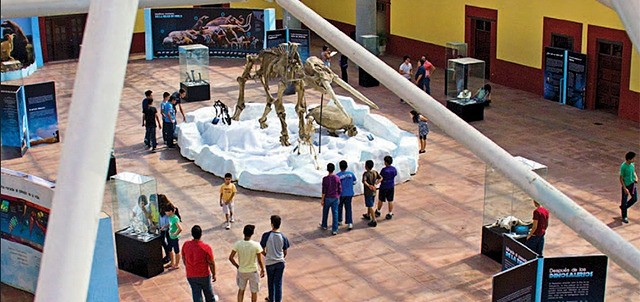 Museo Coahuila - Texas