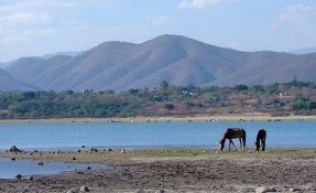 Qué hacer en Laguna El Rodeo, Miacatlán