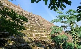 Zona Arqueológica El Pital