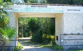 Jardín Botánico Dr. Alfredo Barrera Marín
