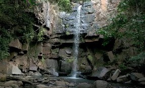 Qué hacer en Cascada El Salto, Mazamitla