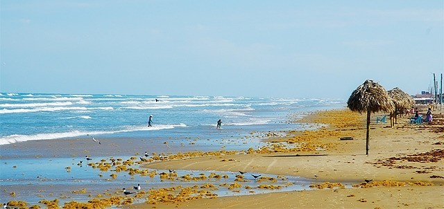Playa Bagdad, Matamoros