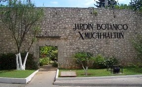 Qué hacer en Jardín Botánico Xmuch Haltun, Campeche