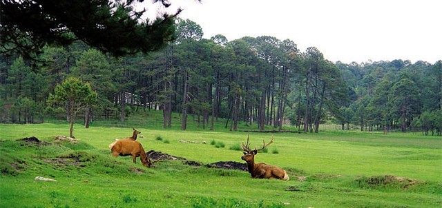 Parque Ecológico El Tecuán, Durango