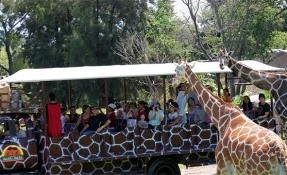 Qué hacer en Zoológico de Guadalajara