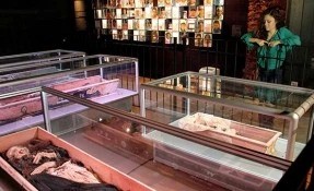 Qué hacer en Museo de las Momias de San Antonio de las Alazanas , Arteaga