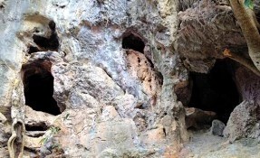 Qué hacer en Cueva del Arroyo, Capulalpam
