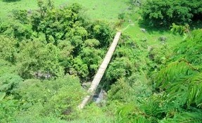 Things to do in Puente Colgante , Pahuatlán