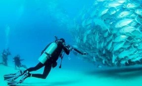 What to do in Tour de Buceo y Snorkel, Cabo Pulmo