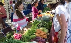 Things to do in Tianguis Orgánico San Miguel de Allende