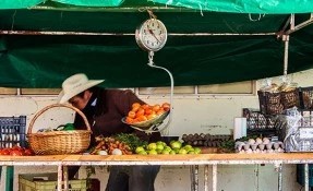 What to do in Mercado Alternativo Tlaxcala