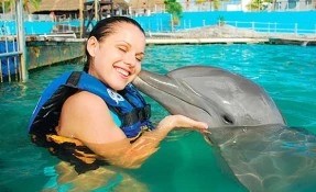 What to do in Nado con Delfines, Los Cabos