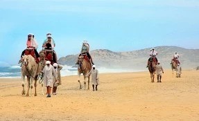 What to do in Outback & Camel Safari, Los Cabos