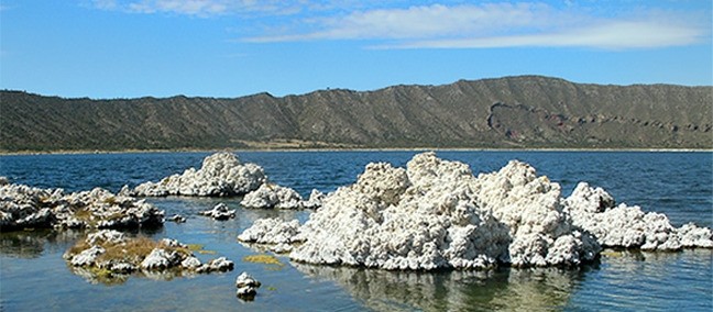 Laguna de Alchichica, Perote