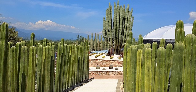 Jardines de México, Tequesquitengo