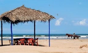 Qué hacer en Playa del Novillero, Tecuala
