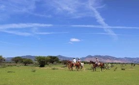 Things to do in Rancho Xotolar, San Miguel de Allende