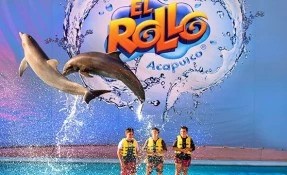 What to do in El Rollo, Acapulco