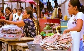 Qué hacer en Mercado 5 de Septiembre, Juchitán de Zaragoza