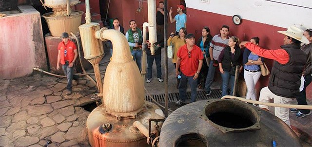 Ruta del Mezcal, San Luis Potosí