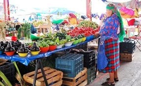 What to do in Mercado en Tlacolula de Matamoros