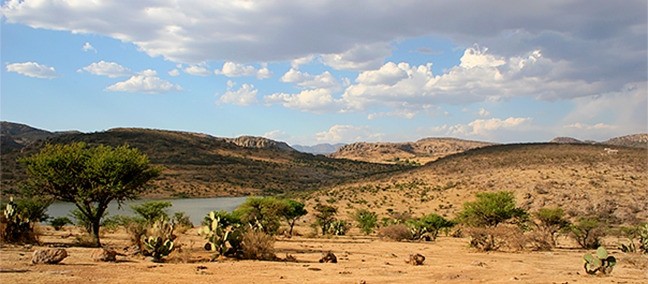 El Ocote, Aguascalientes