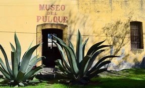Qué hacer en Museo del Pulque, Huamantla