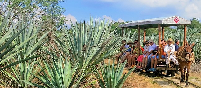 Tour del Henequén, Haciendas de Yucatán