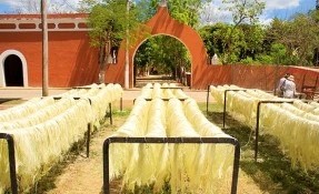 Qué hacer en Tour del Henequén, Haciendas de Yucatán