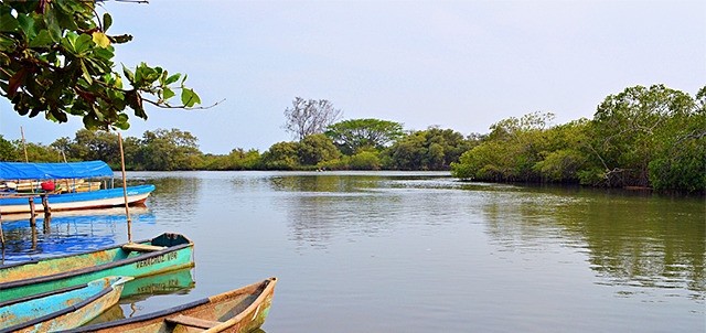 Laguna de Mandinga, Veracruz