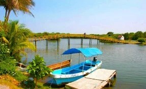 Qué hacer en Laguna de Mandinga, Veracruz