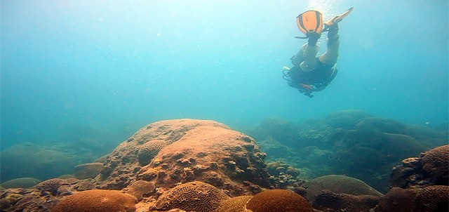 Arrecifes, Tuxpam