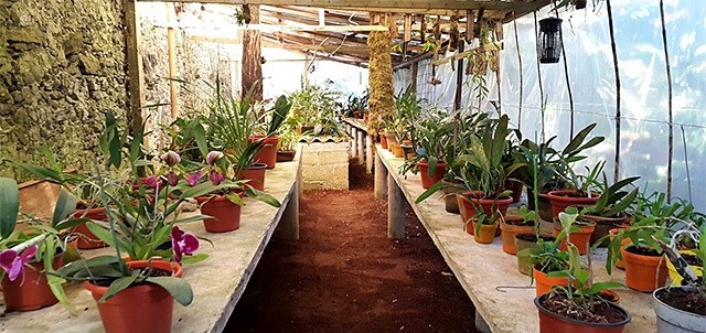 Museo Jardín de las Orquídeas, Coatepec