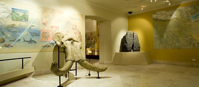 Museo de Linares, Linares