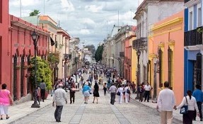 Qué hacer en Calle Macedonio Alcalá, Oaxaca