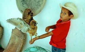 Qué hacer en Mini Zoológico / Museo, Tlacotalpan