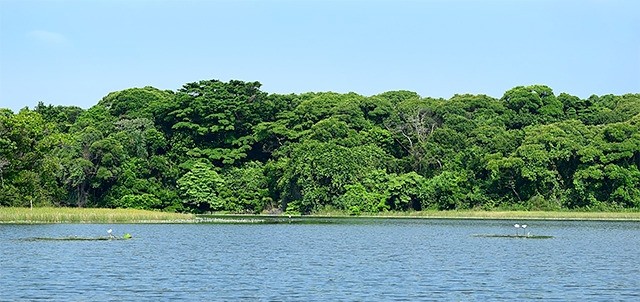 Parque Ecológico Jaguaroundi, Coatzacoalcos