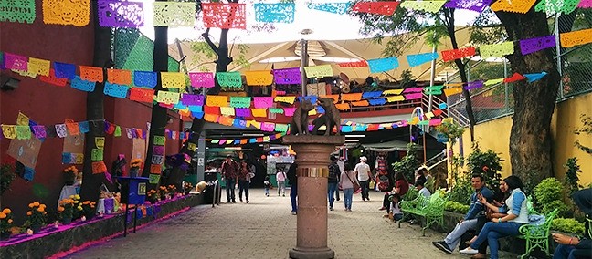 Coyoacán, Ciudad de México