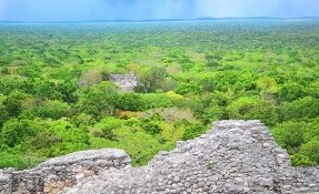 Qué hacer en Reserva de la Biosfera de Calakmul, Xpujil