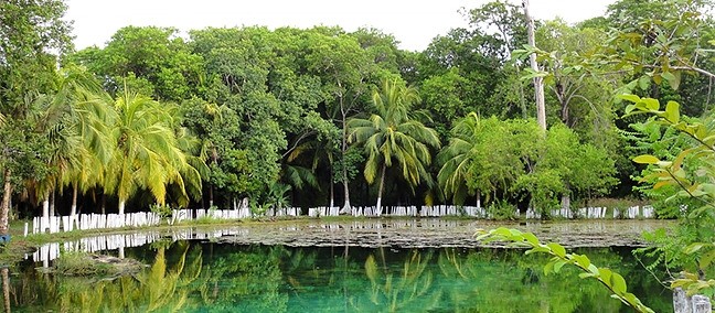 Reserva de la Biosfera Los Petenes, Campeche